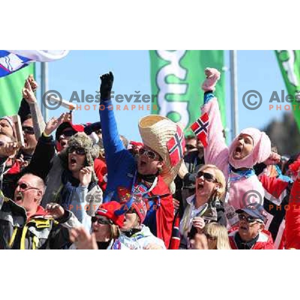 Norge fans at final competition of World Cup Ski jumping season 2008-2009 in Planica, Slovenia 22.3.2009 
