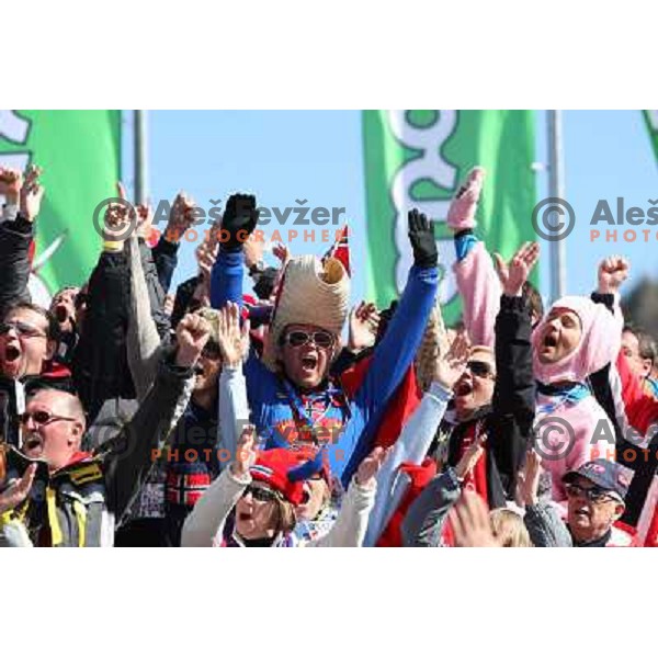  Norwegian fans at final competition of World Cup Ski jumping season 2008-2009 in Planica, Slovenia 22.3.2009 