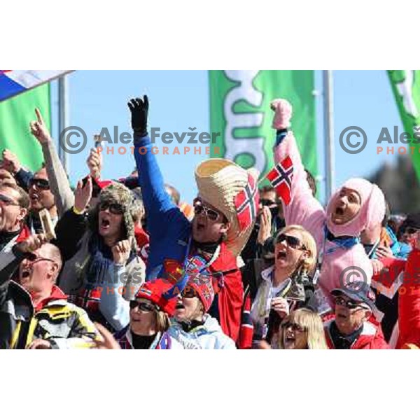 Norge fans at final competition of World Cup Ski jumping season 2008-2009 in Planica, Slovenia 22.3.2009 