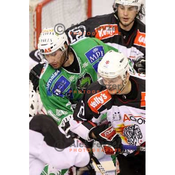 Hocevar, Rebolj at ice hockey match Tilia Olimpija- Acroni Jesenice in fourth game of playoff, played in Hala Tivoli, Ljubljana 23.3.2009. Acroni Jesenice won 2:1 and became Slovenian National ice hockey champions 