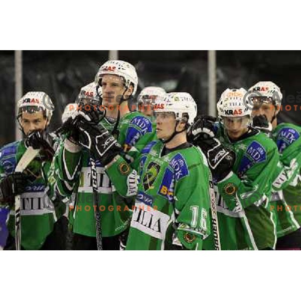 Groznik, Music (16) at ice hockey match Tilia Olimpija- Acroni Jesenice in fourth game of playoff, played in Hala Tivoli, Ljubljana 23.3.2009. Acroni Jesenice won 2:1 and became Slovenian National ice hockey champions 