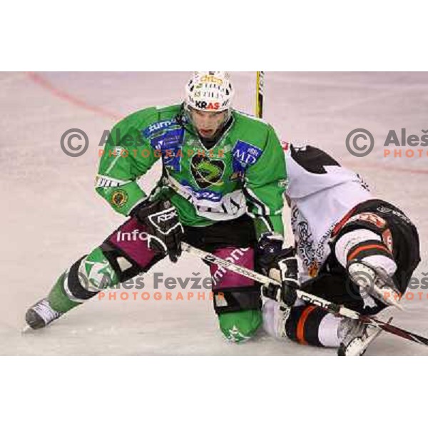  Jurij Golicic at ice hockey match Tilia Olimpija- Acroni Jesenice in fourth game of playoff, played in Hala Tivoli, Ljubljana 23.3.2009. Acroni Jesenice won 2:1 and became Slovenian National ice hockey champions 