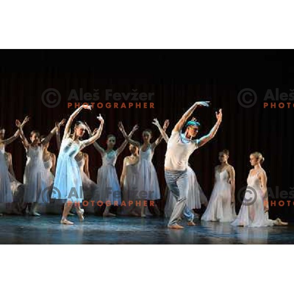 Ballet show at Bled, Slovenia 25.3.2009 during visit of great Russian ballerina Maya Plisetskaya . 