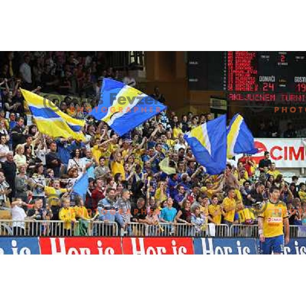 Fans of Cimos Koper at handball match Cimos Koper- Celje Pivovarna Lasko in the final of Slovenian Cup, played in Bonifika hall, Koper 19.4.2009. Cimos Koper won 24:19 