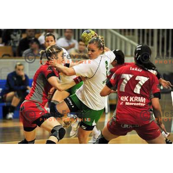 at handball match RK Olimpija - Rk Krim Mercator in final of Slovenian championship played in Hala Tivoli, Ljubljana, 16.5.2009 