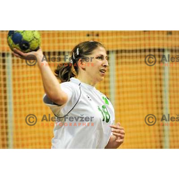 at handball match RK Olimpija - Rk Krim Mercator in final of Slovenian championship played in Hala Tivoli, Ljubljana, 16.5.2009 