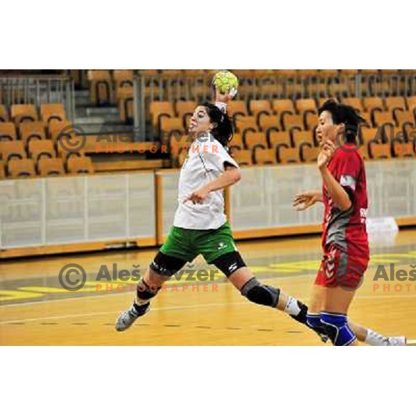 at handball match RK Olimpija - Rk Krim Mercator in final of Slovenian championship played in Hala Tivoli, Ljubljana, 16.5.2009 
