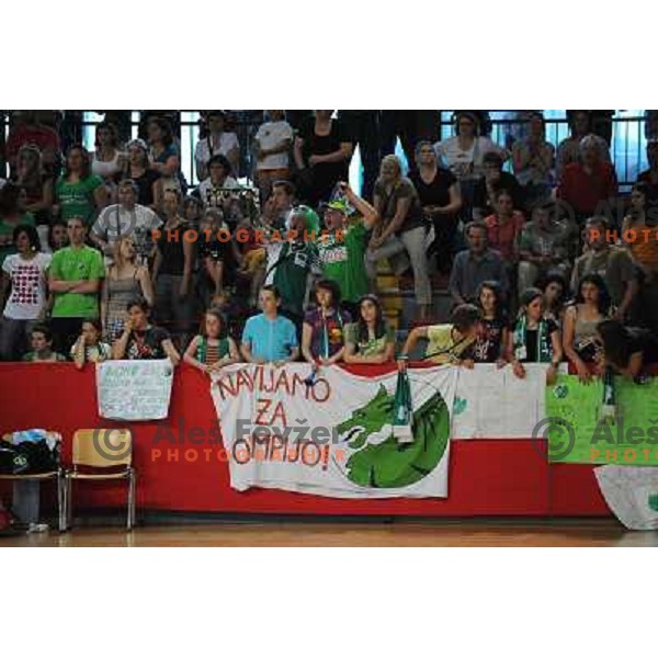 Olimpija fans at handball game Krim Mercator - Olimpija, the final of the slovenian womens handball championship, Kodeljevo, Ljubljana 23.05.2009, Krim Mercator won the championship 