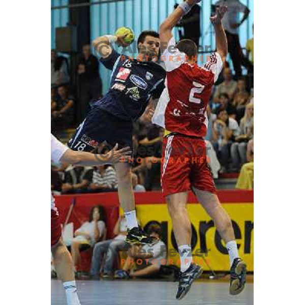 Cehte at handball match Slovenia - Slovakia, friendly match of the slovenian national handball team , Kodeljevo , Ljubljana 