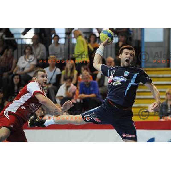 Cehte at handball match Slovenia - Slovakia, friendly match of the slovenian national handball team , Kodeljevo , Ljubljana 