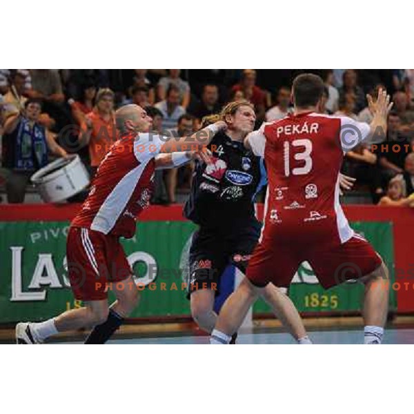 Miklavcic at handball match Slovenia - Slovakia, friendly match of the slovenian national handball team , Kodeljevo , Ljubljana 