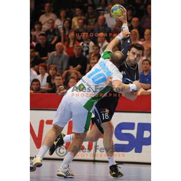 Cehte at handball match Slovenia - Belarus, Qualifying match for the European championship Austria 2010, Kodeljevo , Ljubljana, 10.06.2009 