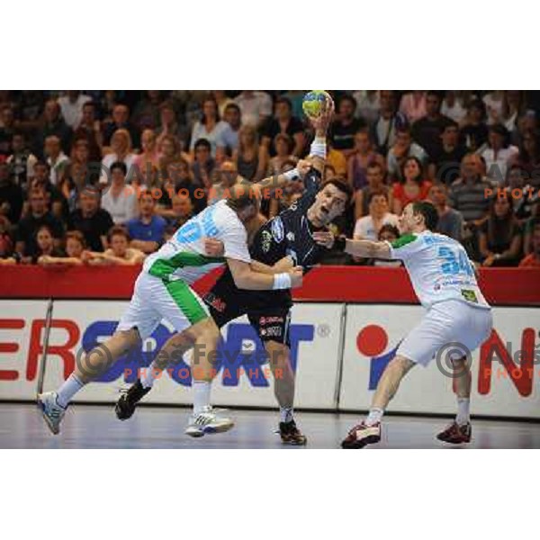 Cehte at handball match Slovenia - Belarus, Qualifying match for the European championship Austria 2010, Kodeljevo , Ljubljana, 10.06.2009 