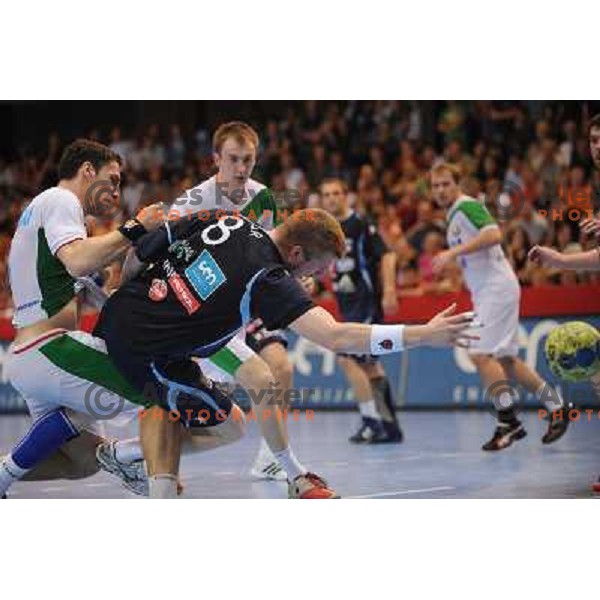 Mlakar at handball match Slovenia - Belarus, Qualifying match for the European championship Austria 2010, Kodeljevo , Ljubljana, 10.06.2009 
