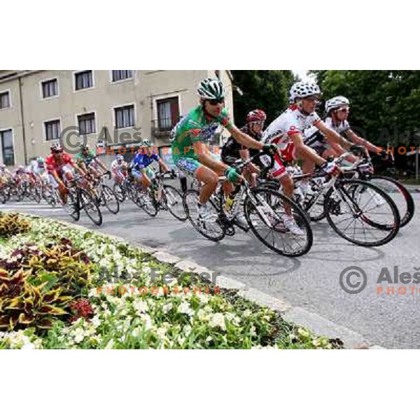 Fourth stage of cycling race Tour de Slovenie with finish in Novo Mesto, Slovenia 21.6.2009. Overall winner became Jakob Fuglsang from Denmark/ Team Saxo Bank 