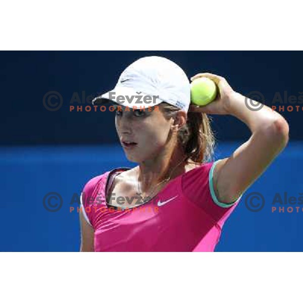 Petra Martic (CRO) in action during quarter-finals of Banka Koper Slovenia Open, WTA tour in SRC Marina, Portoroz 24.7.2009 