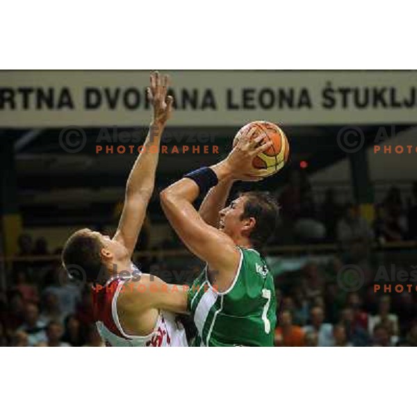 Brezec at the basketballl game Slovenia - Russia, Friendly Match, Novo Mesto, 10.08.2009, 