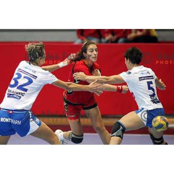 Damjanovic at handball match Krim Mercator- Buducnost at Vinko Kandija Memorial Cup, played at Kodeljevo Hall, Ljubljana 4.9.2009 