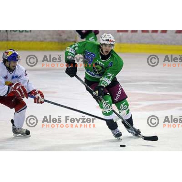 at ice-hockey match Tilia Olimpija- Red Bull Salzburg in round 5 of EBEL league, played in Hala Tivoli, Ljubljana, Slovenia 22.9.2009 
