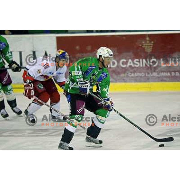 Kelly at ice-hockey match Tilia Olimpija- Red Bull Salzburg in round 5 of EBEL league, played in Hala Tivoli, Ljubljana, Slovenia 22.9.2009 