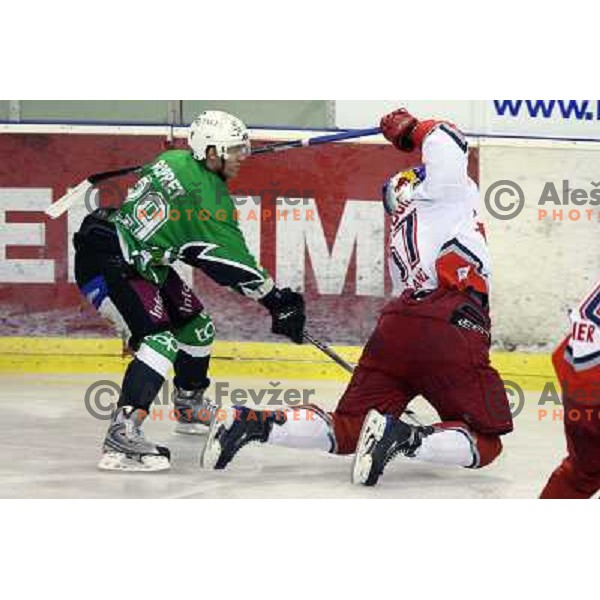 Ropret at ice-hockey match Tilia Olimpija- Red Bull Salzburg in round 5 of EBEL league, played in Hala Tivoli, Ljubljana, Slovenia 22.9.2009 