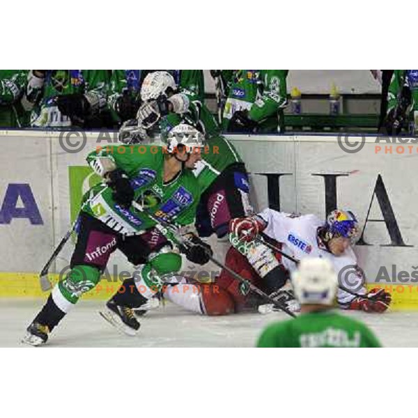 Brendan Yarema at ice-hockey match Tilia Olimpija- Red Bull Salzburg in round 5 of EBEL league, played in Hala Tivoli, Ljubljana, Slovenia 22.9.2009 