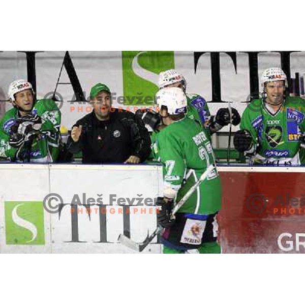 Royer at ice-hockey match Tilia Olimpija- Red Bull Salzburg in round 5 of EBEL league, played in Hala Tivoli, Ljubljana, Slovenia 22.9.2009 