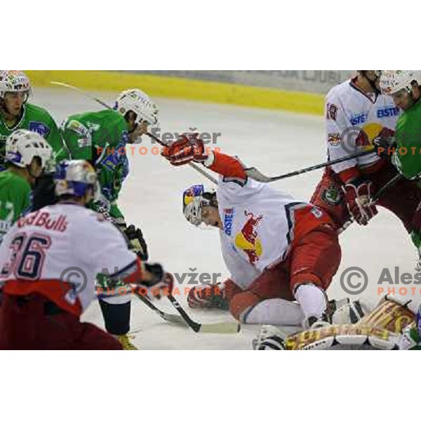 at ice-hockey match Tilia Olimpija- Red Bull Salzburg in round 5 of EBEL league, played in Hala Tivoli, Ljubljana, Slovenia 22.9.2009 