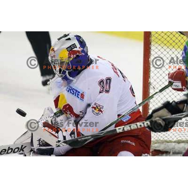 at ice-hockey match Tilia Olimpija- Red Bull Salzburg in round 5 of EBEL league, played in Hala Tivoli, Ljubljana, Slovenia 22.9.2009 
