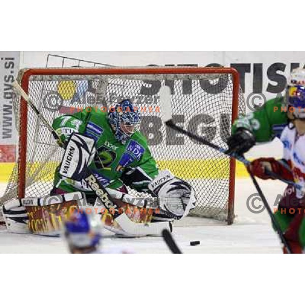 Norm Maracle at ice-hockey match Tilia Olimpija- Red Bull Salzburg in round 5 of EBEL league, played in Hala Tivoli, Ljubljana, Slovenia 22.9.2009 