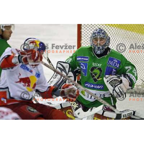Norm Maracle at ice-hockey match Tilia Olimpija- Red Bull Salzburg in round 5 of EBEL league, played in Hala Tivoli, Ljubljana, Slovenia 22.9.2009 