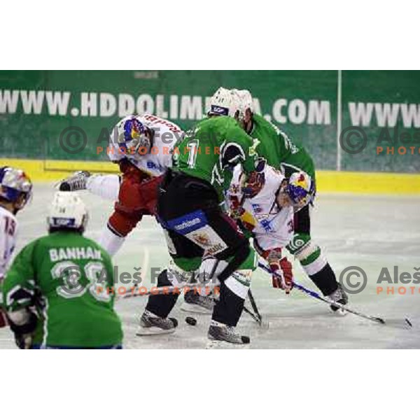 Kelly at ice-hockey match Tilia Olimpija- Red Bull Salzburg in round 5 of EBEL league, played in Hala Tivoli, Ljubljana, Slovenia 22.9.2009 