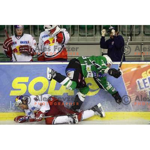 at ice-hockey match Tilia Olimpija- Red Bull Salzburg in round 5 of EBEL league, played in Hala Tivoli, Ljubljana, Slovenia 22.9.2009 