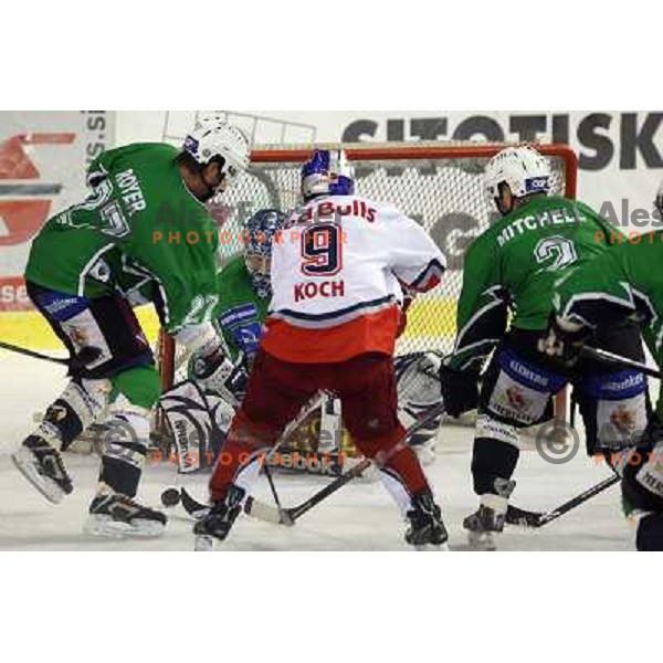 Royer at ice-hockey match Tilia Olimpija- Red Bull Salzburg in round 5 of EBEL league, played in Hala Tivoli, Ljubljana, Slovenia 22.9.2009 