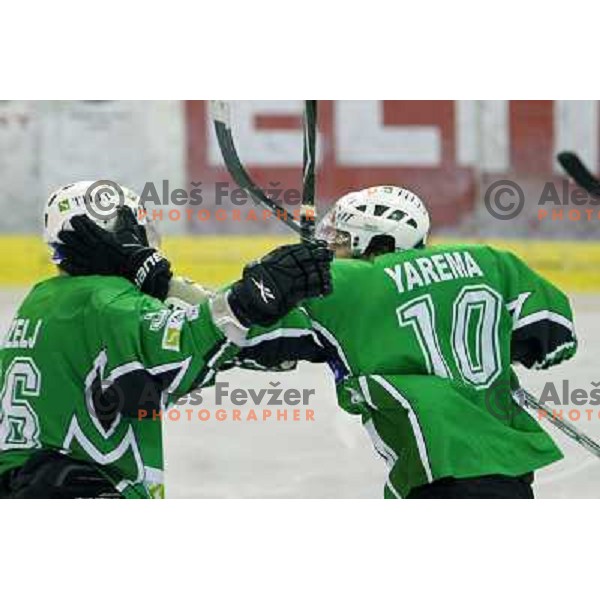 Brendan Yarema , Andrej Tavzelj at ice-hockey match Tilia Olimpija- Red Bull Salzburg in round 5 of EBEL league, played in Hala Tivoli, Ljubljana, Slovenia 22.9.2009 
