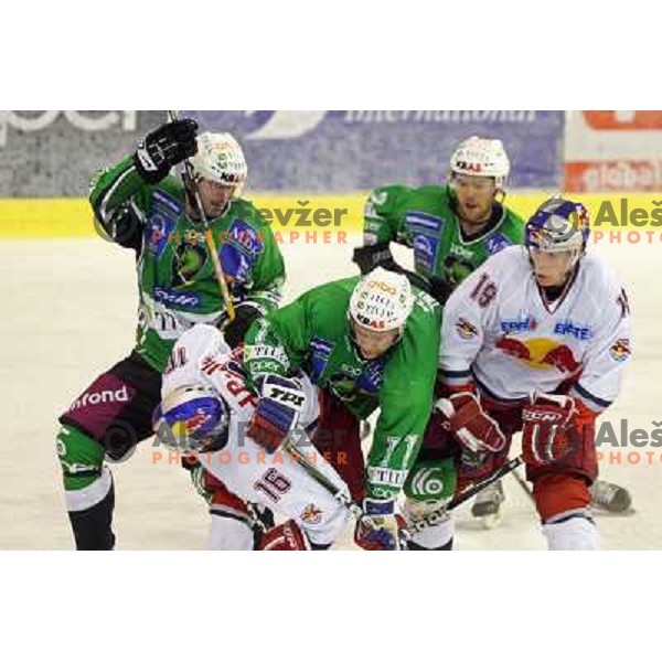 Ivo Jan, Kelly at ice-hockey match Tilia Olimpija- Red Bull Salzburg in round 5 of EBEL league, played in Hala Tivoli, Ljubljana, Slovenia 22.9.2009 