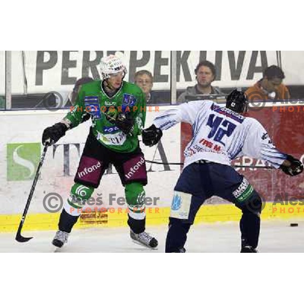 Groznik, VAs ice-hockey match Tilia Olimpija- Sapa Fehervar in round 7 of Ebel league, palyed in Hala Tivoli, Ljubljana, Slovenia 27.9.2009. Sapa Fehervar won 3:2 