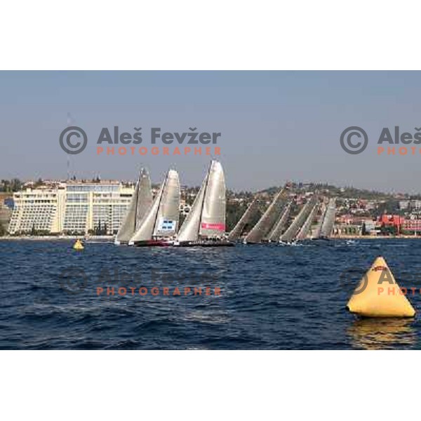 RC 44 sailing boats on official practice before Portoroz Cup, Slovenia 28.9.2009 