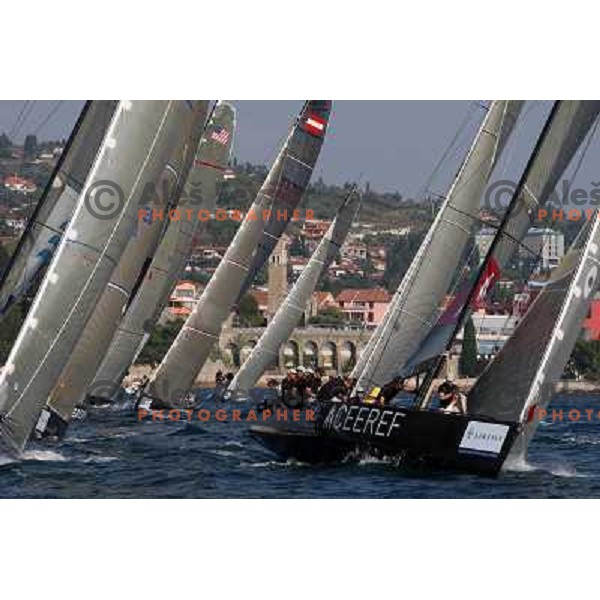 RC 44 sailing boats on official practice before Portoroz Cup, Slovenia 28.9.2009 