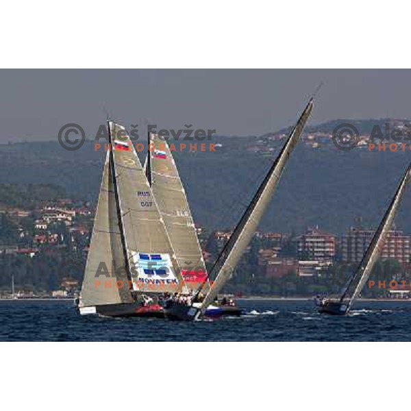 RC 44 sailing boats on official practice before Portoroz Cup, Slovenia 28.9.2009 