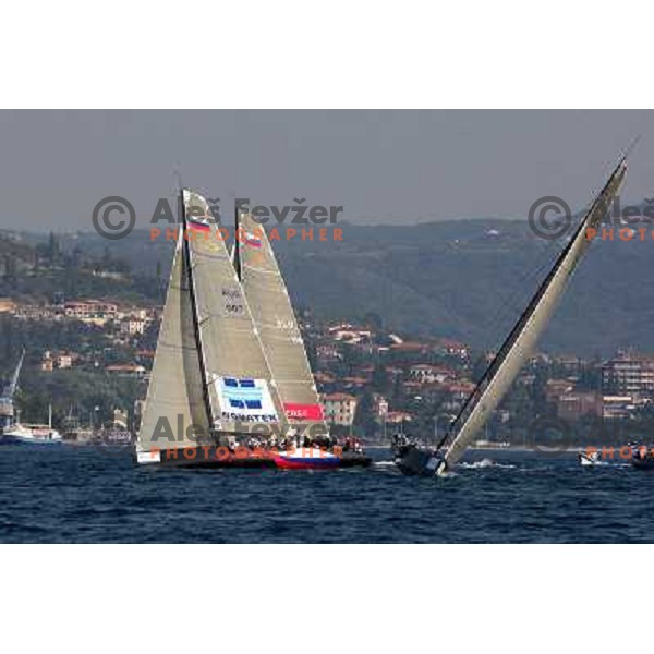 RC 44 sailing boats on official practice before Portoroz Cup, Slovenia 28.9.2009 