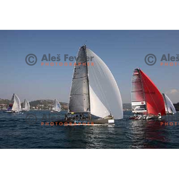 RC 44 sailing boats on official practice before Portoroz Cup, Slovenia 28.9.2009 