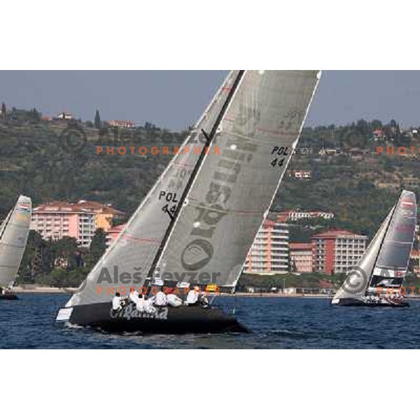 RC 44 sailing boats on official practice before Portoroz Cup, Slovenia 28.9.2009 