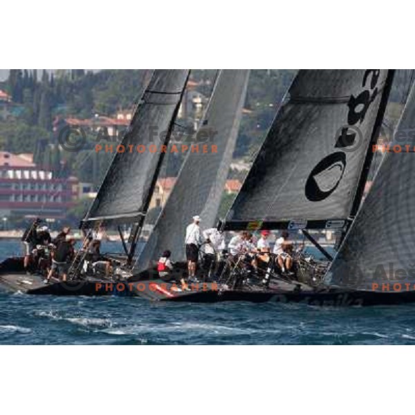 RC 44 sailing boats on official practice before Portoroz Cup, Slovenia 28.9.2009 