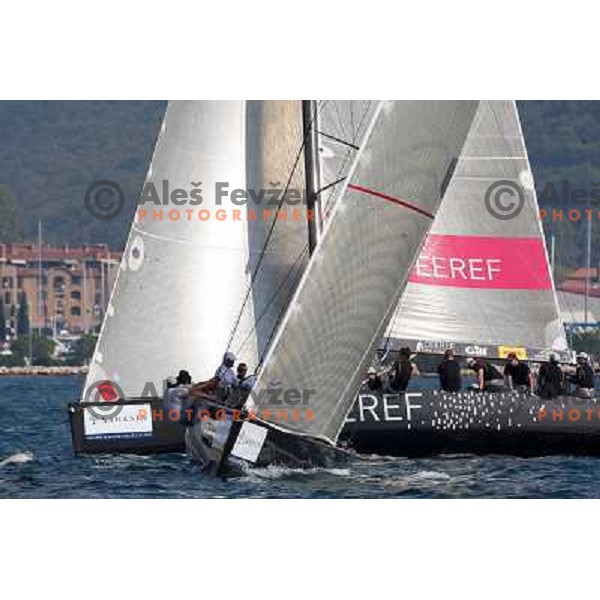 RC 44 sailing boats on official practice before Portoroz Cup, Slovenia 28.9.2009 