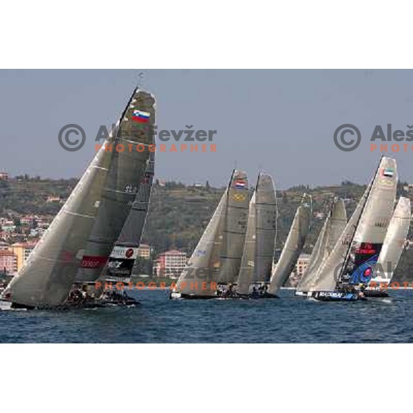 RC 44 sailing boats on official practice before Portoroz Cup, Slovenia 28.9.2009 