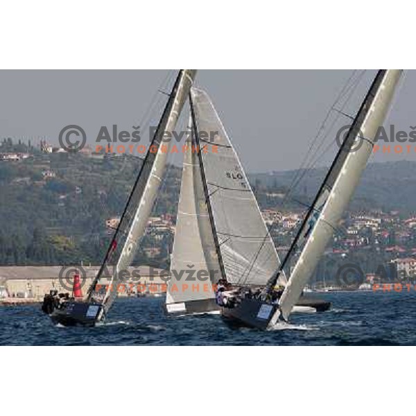 RC 44 sailing boats on official practice before Portoroz Cup, Slovenia 28.9.2009 