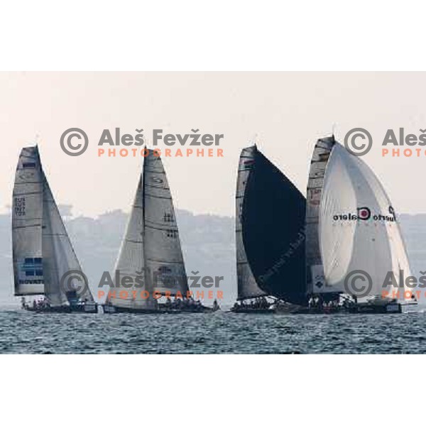 match racing at Bank Sarasin RC 44 Portoroz Cup, Slovenia 29.9.2009 