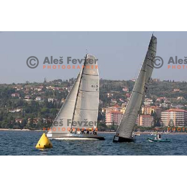 match racing at Bank Sarasin RC 44 Portoroz Cup, Slovenia 29.9.2009 