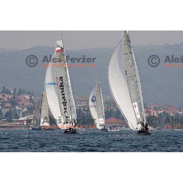 Team Organika and skipper Karol Jablonski and team Sea Dubai during first day of match racing at Bank Sarasin RC 44 Portoroz Cup, Slovenia 29.9.2009 